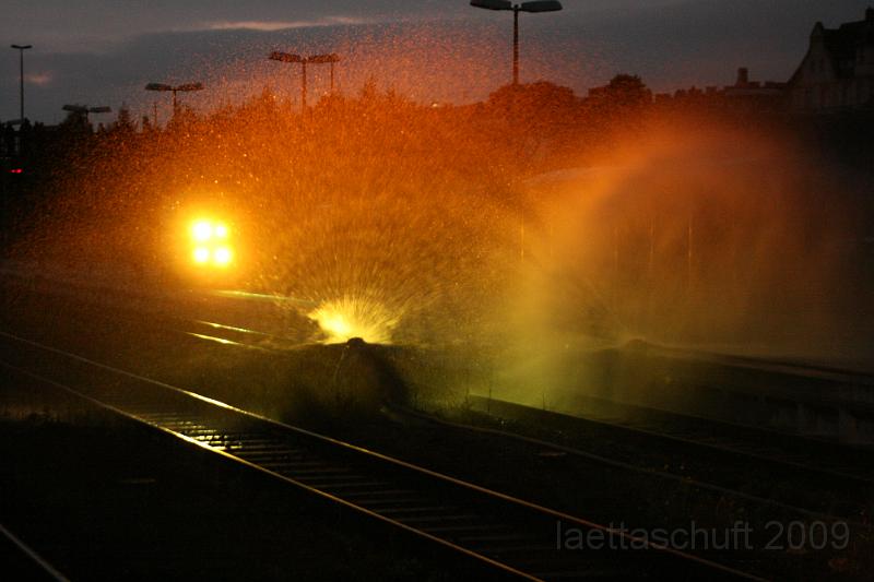 045.JPG