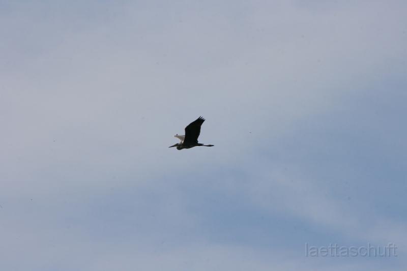 IMG_1228.JPG