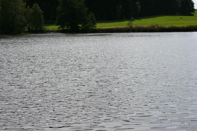 IMG_1263.JPG