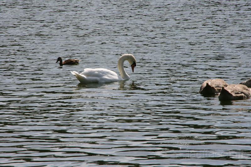 IMG_1286.JPG