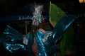 IMG_3948