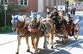 IMG_2841