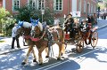 IMG_2842