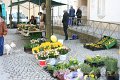 IMG_8829