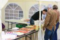 IMG_8995