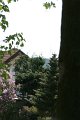 IMG_3950