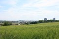 IMG_4906