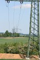 IMG_4954