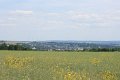 IMG_4964