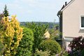 IMG_5009