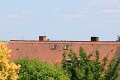 IMG_5012