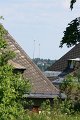 IMG_5020