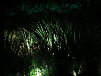 IMG 7419