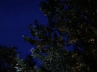 IMG 7426