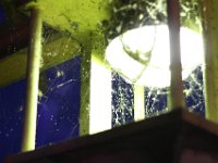 IMG 7443