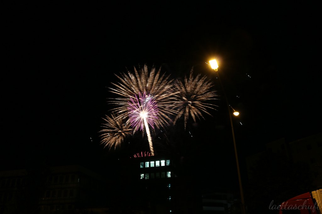 IMG_4319