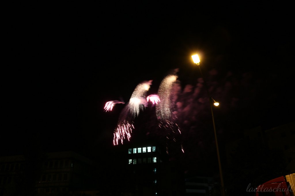 IMG_4330
