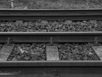39  23. April 2016 BVG BOCHUM 1963 S54 =
