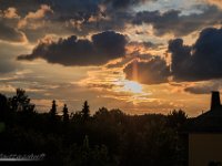 IMG 6295