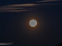 IMG 8074