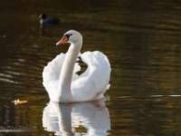 IMG 7701