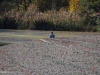 IMG 7463