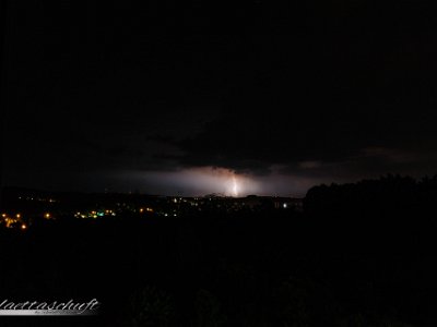IMG 6350
