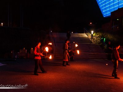 IMG 3999