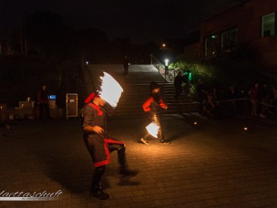 IMG 4058