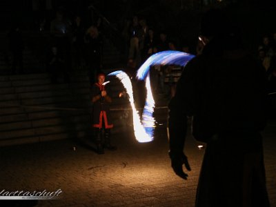 IMG 4316