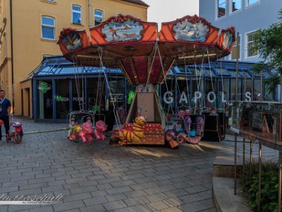IMG 2925