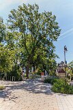 _MG_5762 22. Juni 2025