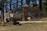 _MG_5076 19. März 2025