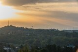 _MG_5393
