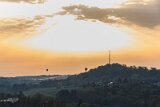 _MG_5399