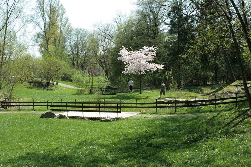 110.JPG